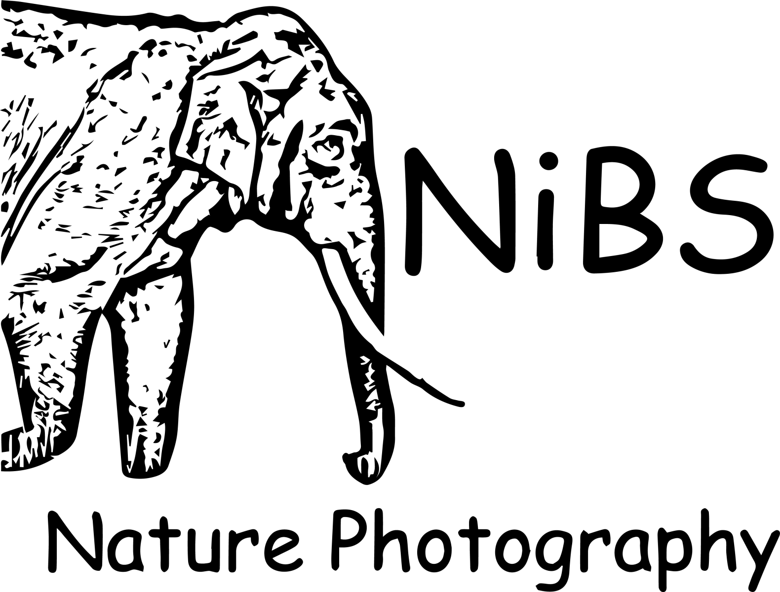 Fotograf:in Logo