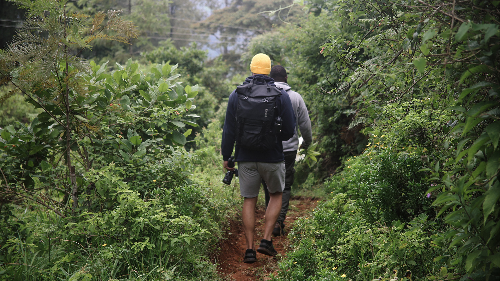 Wandersafari