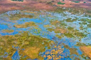 Okavango Delta