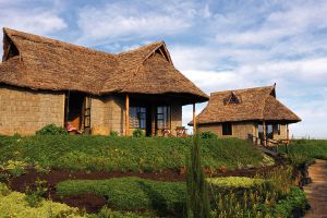 Rhino Watch Lodge