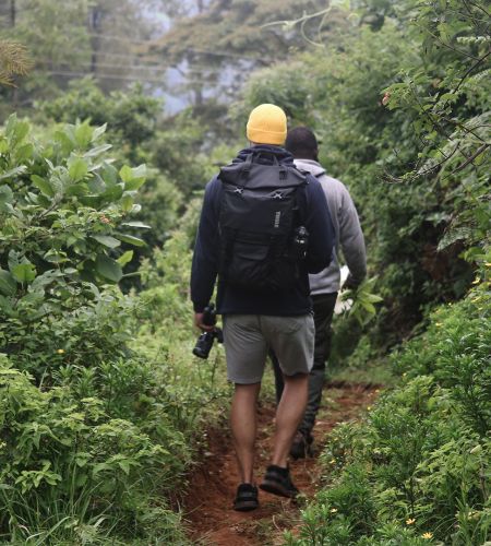 Wandersafari
