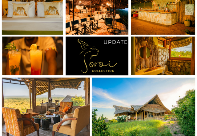 Eröffnung: Soroi Cheetah Tented Camp