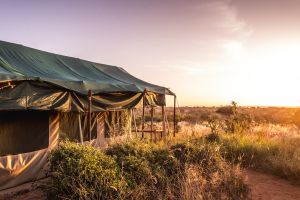 Laikipia Wilderness Camp
